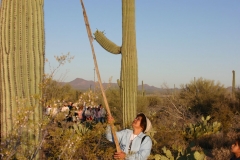 cactus-lady-stick